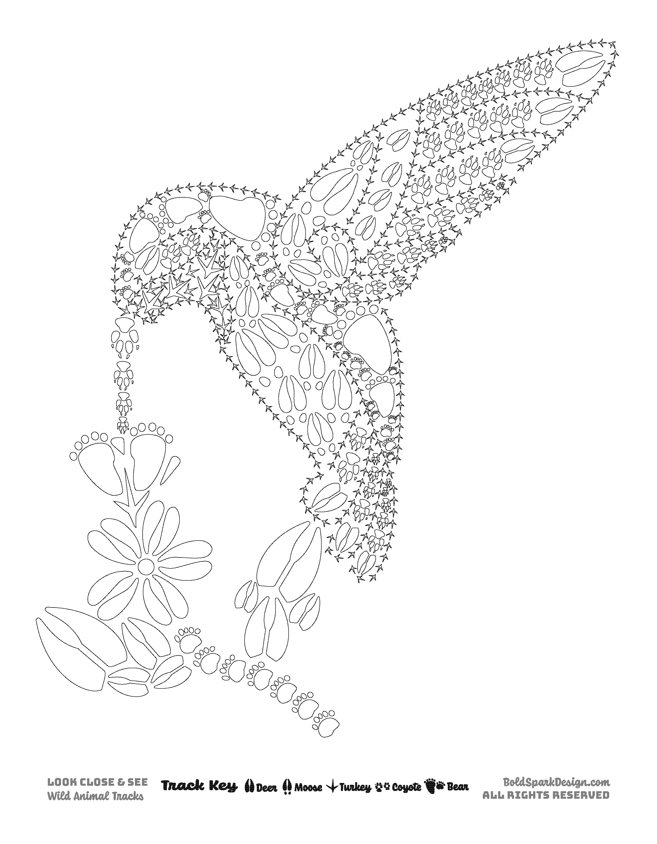 Animal Coloring Pages
