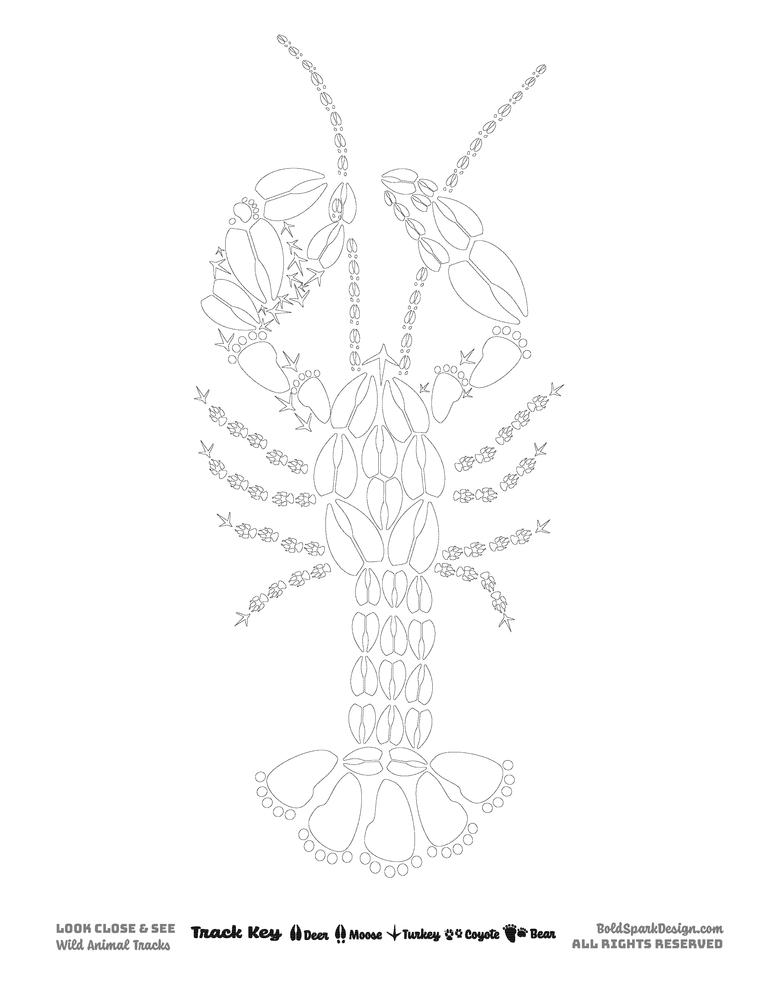 Animal Coloring Pages