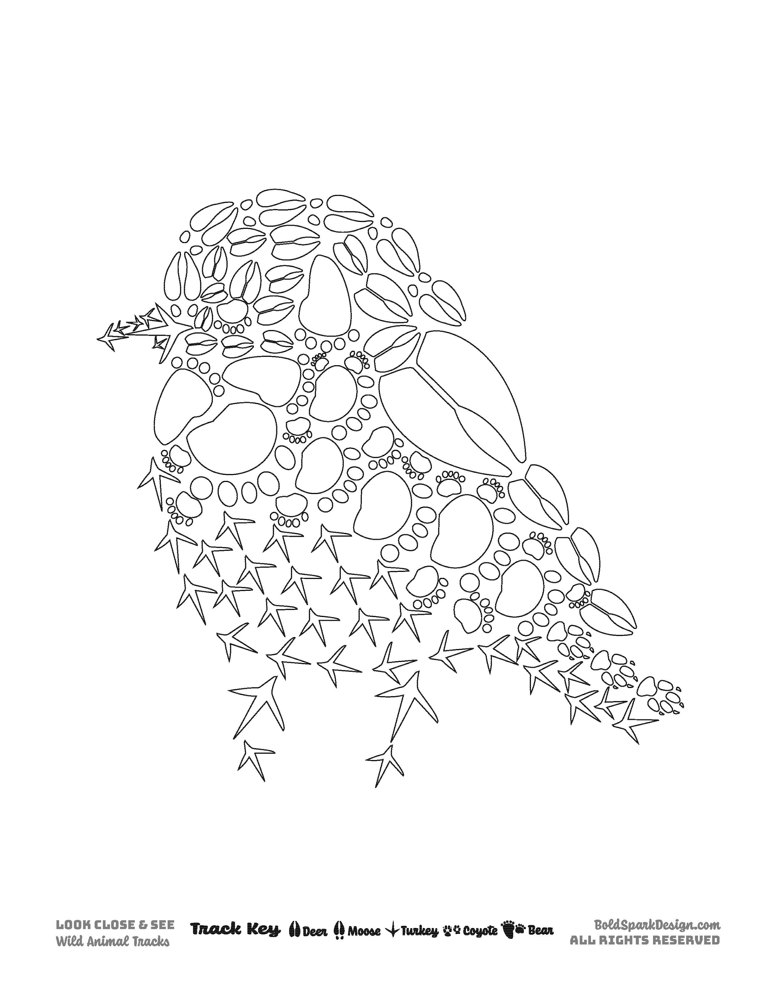 Animal Coloring Pages